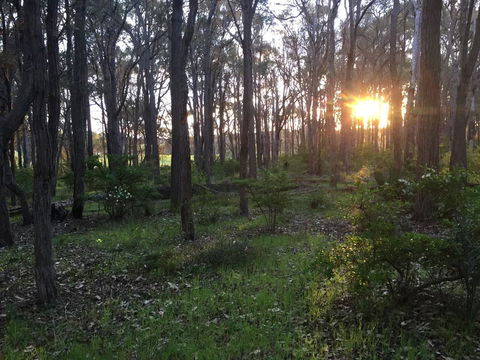 Simala Retreat - Hervey Bay Accommodation 4