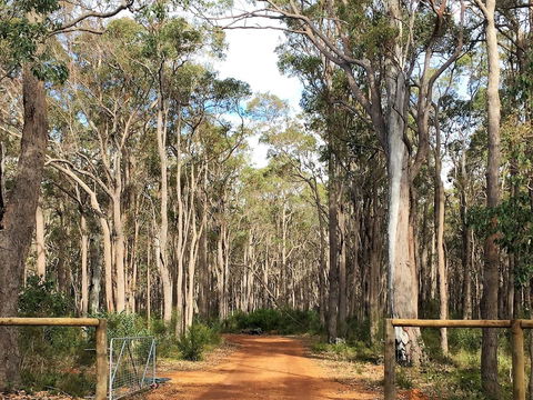 Simala Retreat - Hervey Bay Accommodation 6