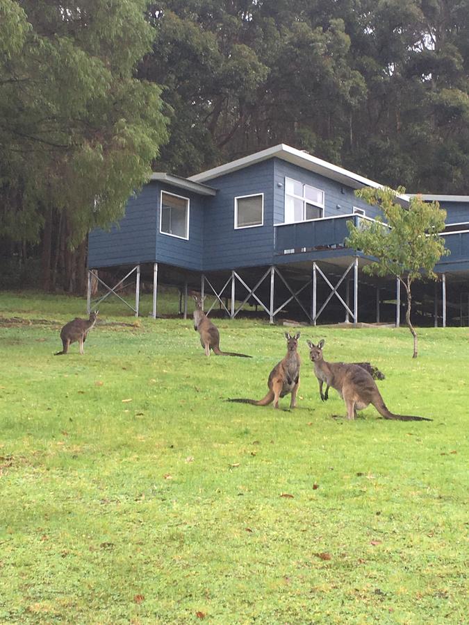  Tourism Hervey Bay