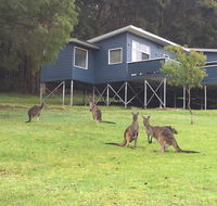Blue House Denmark - Tourism Hervey Bay