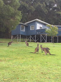 Book Denmark Accommodation Vacations Hervey Bay Accommodation Hervey Bay Accommodation