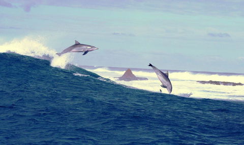 Unit 42 Kalbarri Beach Resort - Hervey Bay Accommodation 22