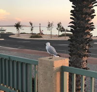 Shark Bay Seafront Apartments - Tourism Hervey Bay