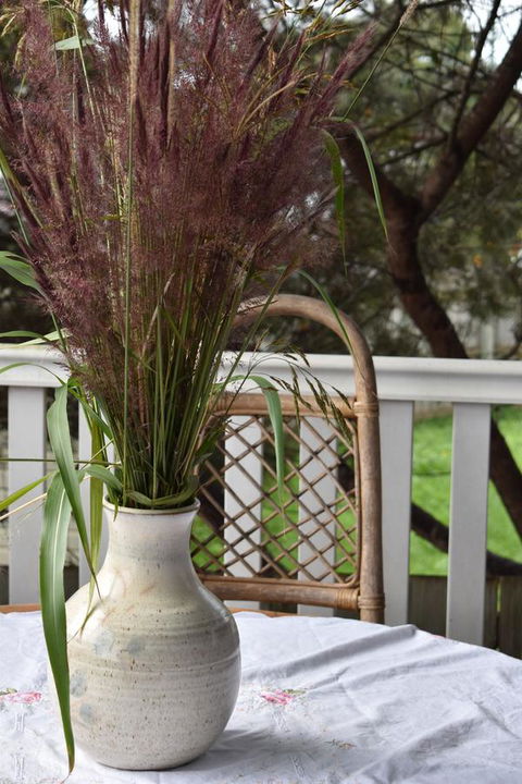 Lavender Cottage - Tourism Hervey Bay 22