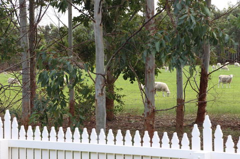 Sapphire Chalets, Augusta - Hervey Bay Accommodation 9