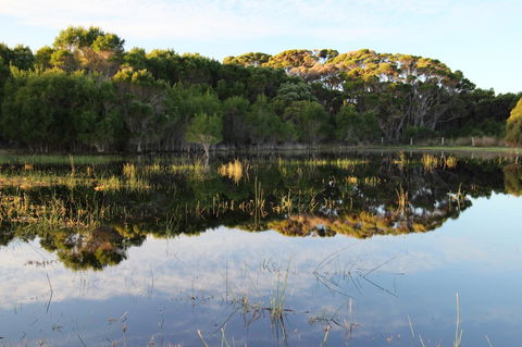 Sapphire Chalets, Augusta - Hervey Bay Accommodation 14