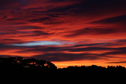 Sapphire Chalets, Augusta - Hervey Bay Accommodation 15