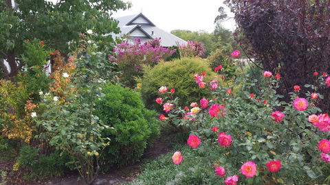 Glenelg On King Bed & Breakfast - Tourism Hervey Bay 15