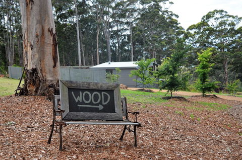 The Floating Forest - Tourism Hervey Bay 11
