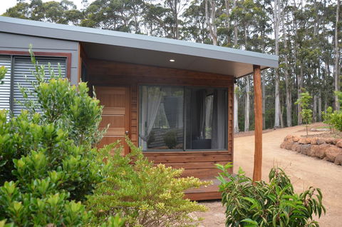 The Floating Forest - Tourism Hervey Bay 16