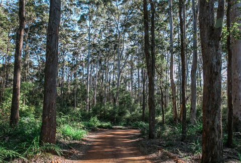 The Floating Forest - Tourism Hervey Bay 37