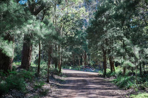 The Floating Forest - Tourism Hervey Bay 30