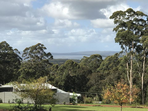 The Floating Forest - Tourism Hervey Bay 2