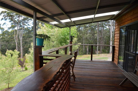 The Floating Forest - Tourism Hervey Bay 6