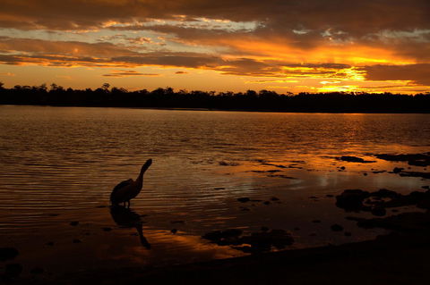 Dungowan Holiday Accommodation - Tourism Hervey Bay 31