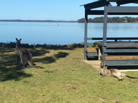 Dungowan Holiday Accommodation - Tourism Hervey Bay 33