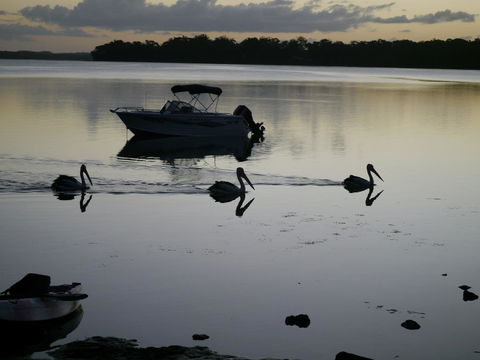 Dungowan Holiday Accommodation - Tourism Hervey Bay 41