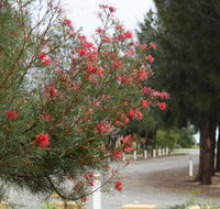 The Heights Bed  Breakfast - Hervey Bay Accommodation
