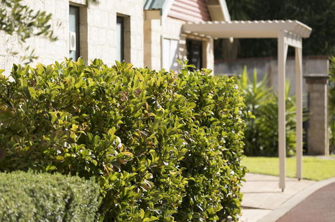 Amalfi Resort - Tourism Hervey Bay 9