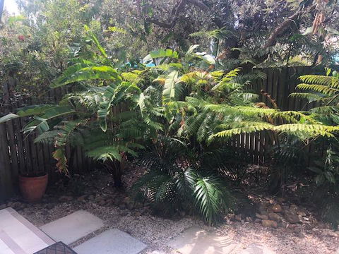 East On Byron - Hervey Bay Accommodation 40