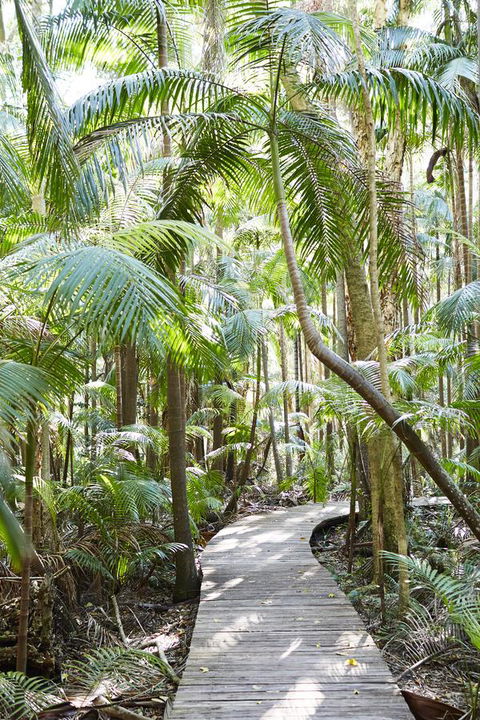 Crystalbrook Byron - Hervey Bay Accommodation 26