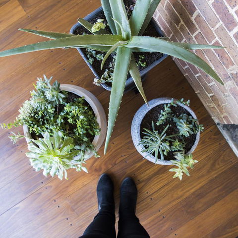 The Parkview Hotel Mudgee - Hervey Bay Accommodation 33