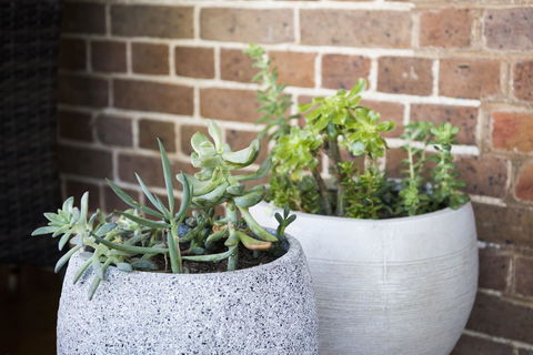 The Parkview Hotel Mudgee - Hervey Bay Accommodation 34