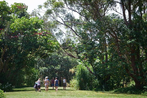 Ingenia Holidays Byron Bay - Hervey Bay Accommodation 11
