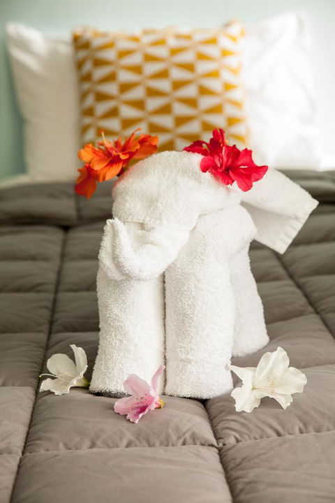 Kempsey Rose Motor Inn - Hervey Bay Accommodation 17