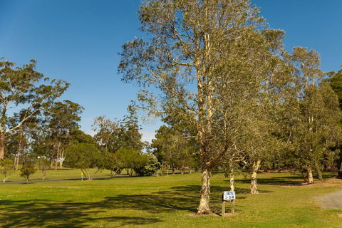 Kempsey Rose Motor Inn - Hervey Bay Accommodation 32