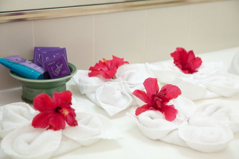 Kempsey Rose Motor Inn - Hervey Bay Accommodation 14