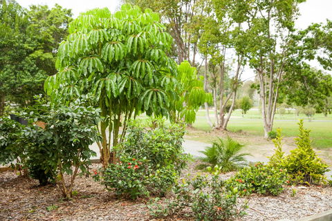 Kempsey Rose Motor Inn - Hervey Bay Accommodation 42