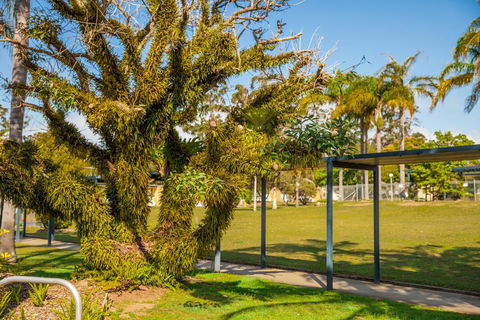 Kempsey Rose Motor Inn - Hervey Bay Accommodation 41