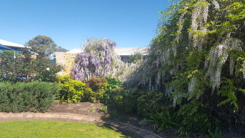 Almond Inn - Tourism Hervey Bay 28