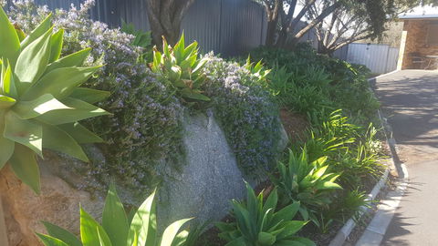 Almond Inn - Tourism Hervey Bay 27