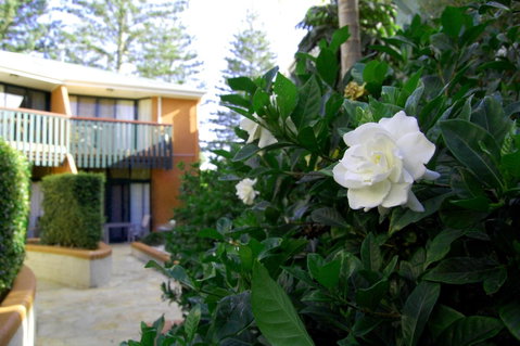 The Crest Byron Bay - Tourism Hervey Bay 29