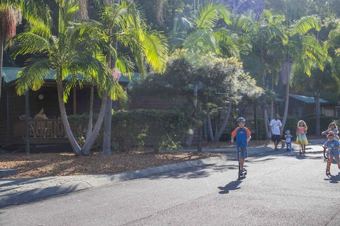 The Palms At Avoca - Hervey Bay Accommodation 14