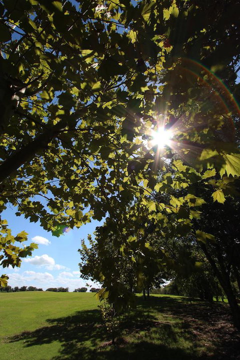 Crowne Plaza Hawkesbury Valley, An IHG Hotel - Hervey Bay Accommodation 43