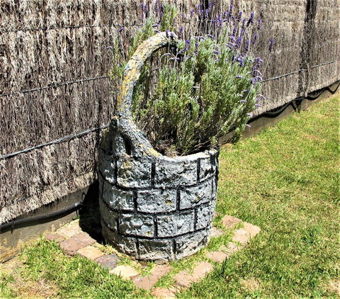 Apple Tree Cottage - Hervey Bay Accommodation 25