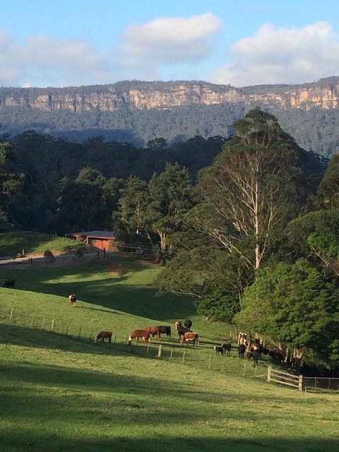 Amaroo Valley Springs - Tourism Hervey Bay 0