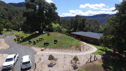 Amaroo Valley Springs - Tourism Hervey Bay 19