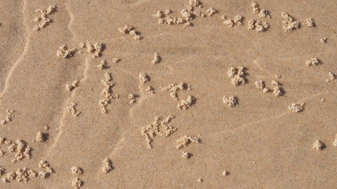 Bundle Hill Cottages - Hervey Bay Accommodation 4