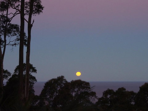 Bundle Hill Cottages - Hervey Bay Accommodation 36