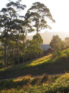 Book Bawley Point Accommodation Tourism Hervey Bay Tourism Hervey Bay