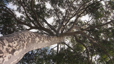 Bundle Hill Cottages - Hervey Bay Accommodation 20