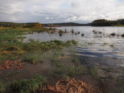 Bundle Hill Cottages - Hervey Bay Accommodation 31