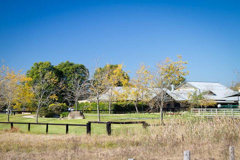 Potters Apartments - Hervey Bay Accommodation 26