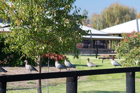 Potters Apartments - Hervey Bay Accommodation 25