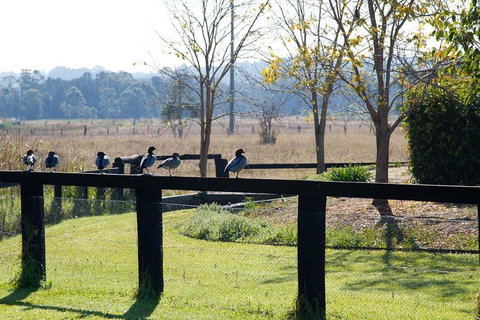 Potters Apartments - Hervey Bay Accommodation 24