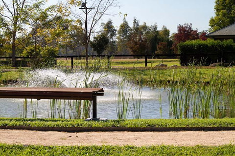 Potters Apartments - Hervey Bay Accommodation 23